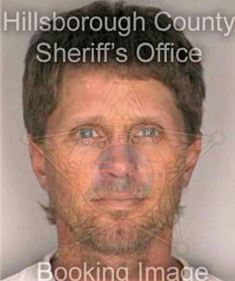 Michel David - Hillsborough County, FL 