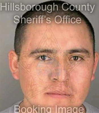 Lopez Martin - Hillsborough County, FL 