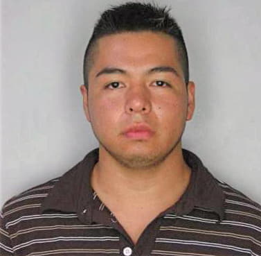 Sanchez Josue - Hillsborough County, FL 