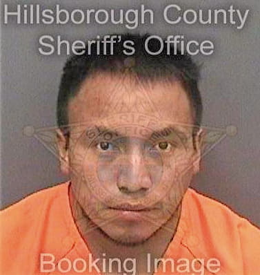 Franciscopedro Pedro - Hillsborough County, FL 