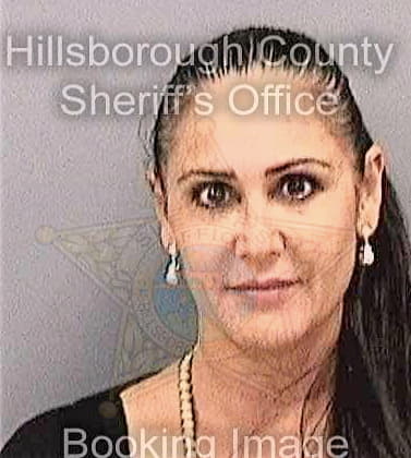 Medina Vivian - Hillsborough County, FL 