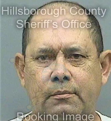 Perez Carlos - Hillsborough County, FL 