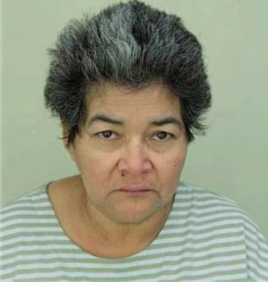 Veitia Santos - Hillsborough County, FL 