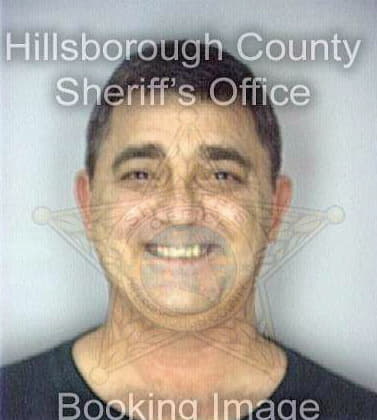 Nicholson Willam - Hillsborough County, FL 