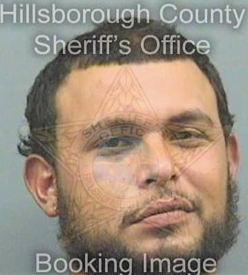 Sanchez Andres - Hillsborough County, FL 