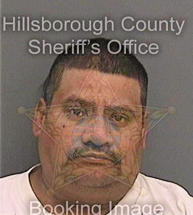 Navarroramos Rigoberto - Hillsborough County, FL 