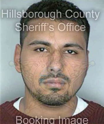 Rangel Noe - Hillsborough County, FL 