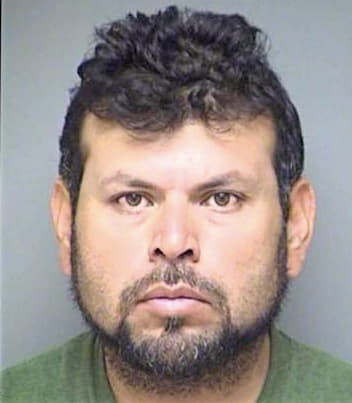 Deleon Rigoberto - Denton County, TX 