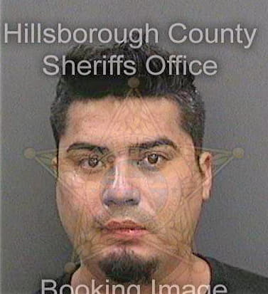 Navacasarrubias Fidel - Hillsborough County, FL 