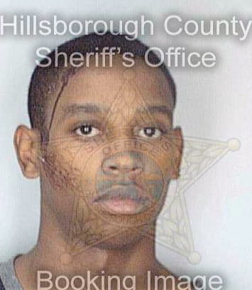 Simon Guy - Hillsborough County, FL 
