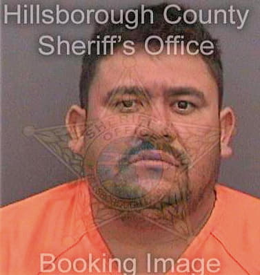 Reyesrodriguez Isaias - Hillsborough County, FL 