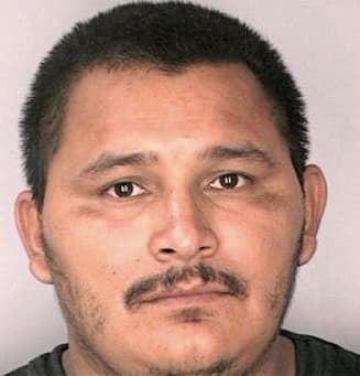 Mendoza Jose - Hillsborough County, FL 