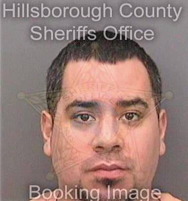 Bernal David - Hillsborough County, FL 