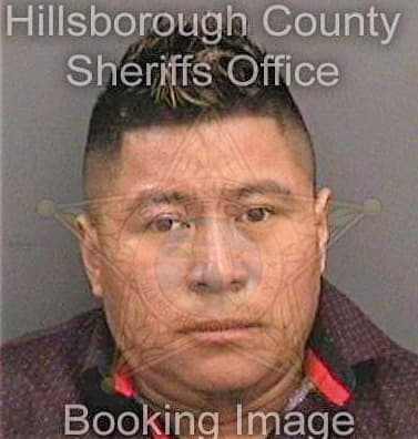 Diazgomez Domingo - Hillsborough County, FL 