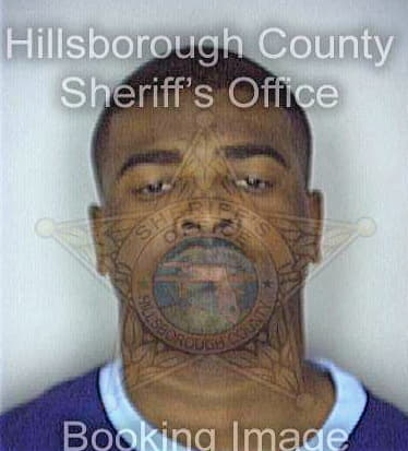 Mcdonald Damon - Hillsborough County, FL 