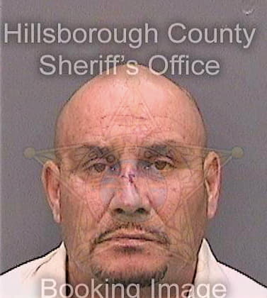 Ortiz Julio - Hillsborough County, FL 