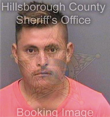Miguelsalagado Jesus - Hillsborough County, FL 