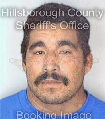 Leon Francisco - Hillsborough County, FL 