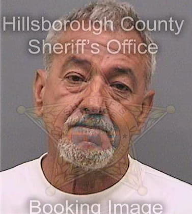 Perez Armando - Hillsborough County, FL 