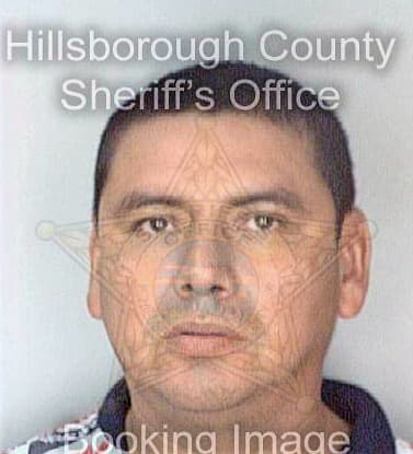 Mojica Lucas - Hillsborough County, FL 