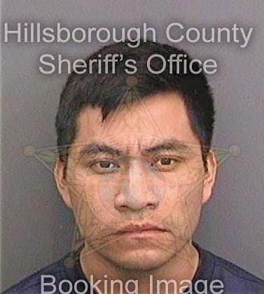 Perezjimenez Benjamin - Hillsborough County, FL 