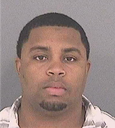 Stewart David - Hillsborough County, FL 