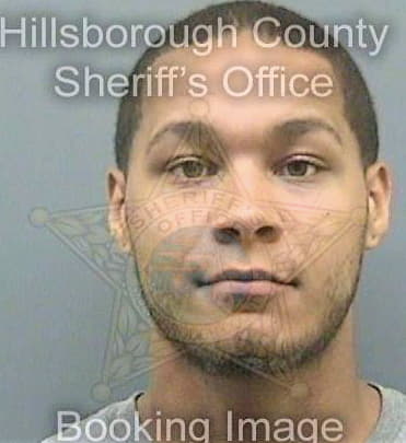 Huskin Brett - Hillsborough County, FL 