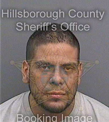 Vasquez Raul - Hillsborough County, FL 