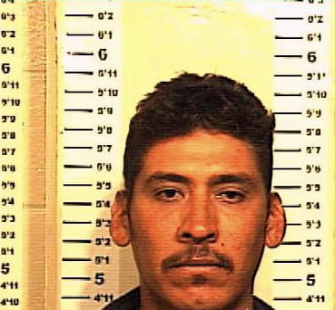 Delatorre Genaro - Denton County, TX 