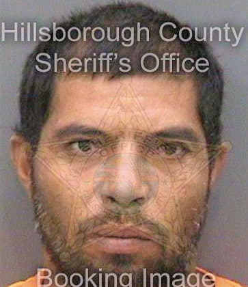 Rivascastro Juan - Hillsborough County, FL 