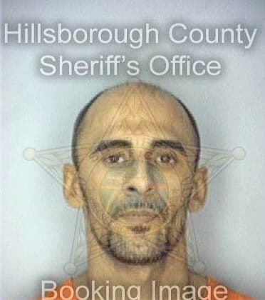 Millan Carlos - Hillsborough County, FL 