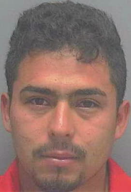 Garcia-Brizuela Marvin - Lee County, FL 