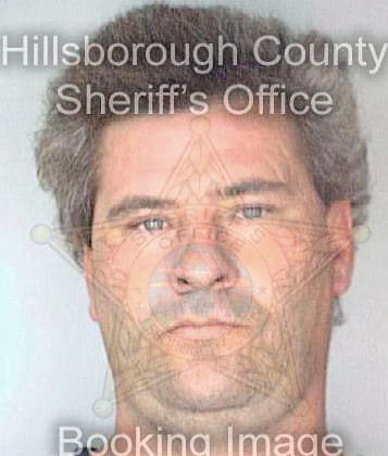 Meseck Ronald - Hillsborough County, FL 