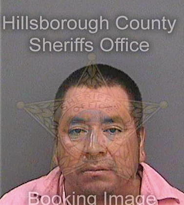 Tolentino Delfino - Hillsborough County, FL 