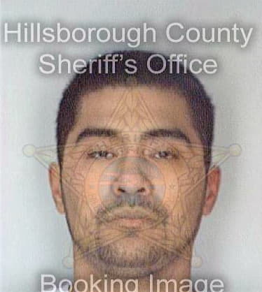 Cruz Leonel - Hillsborough County, FL 