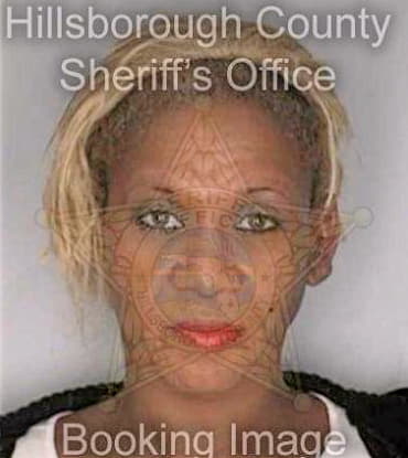 Mcmiller Vincent - Hillsborough County, FL 