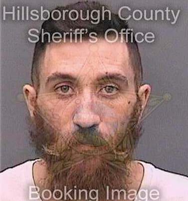 Tigue Alexander - Hillsborough County, FL 