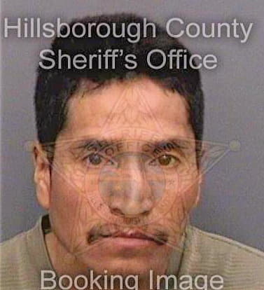 Jimenezgallegos Cirilo - Hillsborough County, FL 