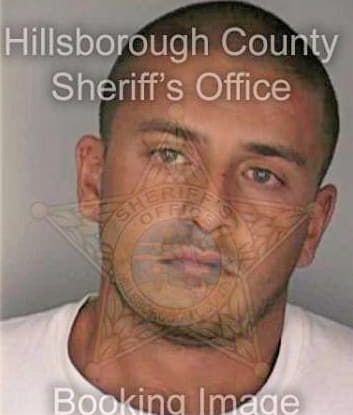 Mctaggart Bradley - Hillsborough County, FL 