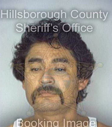 Mejia Hector - Hillsborough County, FL 