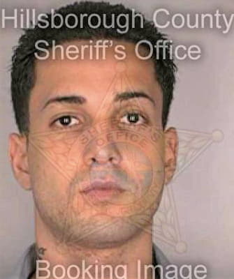 Rivera Giancarlo - Hillsborough County, FL 