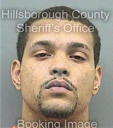 Stuckey William - Hillsborough County, FL 