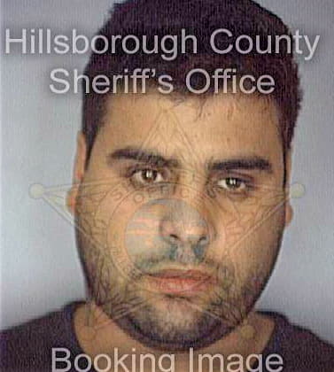 Bradley Mahmoud - Hillsborough County, FL 