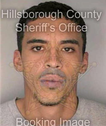 Richardson Bruce - Hillsborough County, FL 