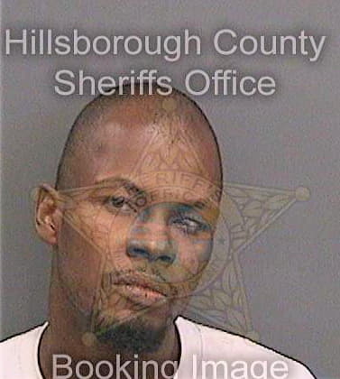 Boyer Calvin - Hillsborough County, FL 