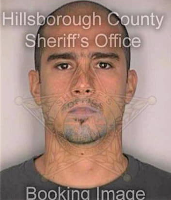 Santiago Gustauo - Hillsborough County, FL 