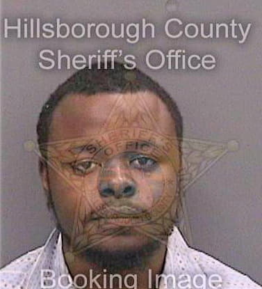 Mcdaniels Anthony - Hillsborough County, FL 