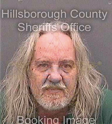 Holstner David - Hillsborough County, FL 