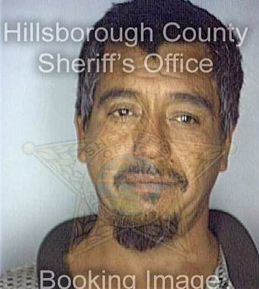 Sanchez Jose - Hillsborough County, FL 