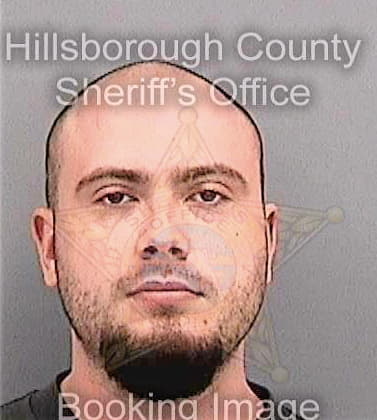 Lewis Peter - Hillsborough County, FL 